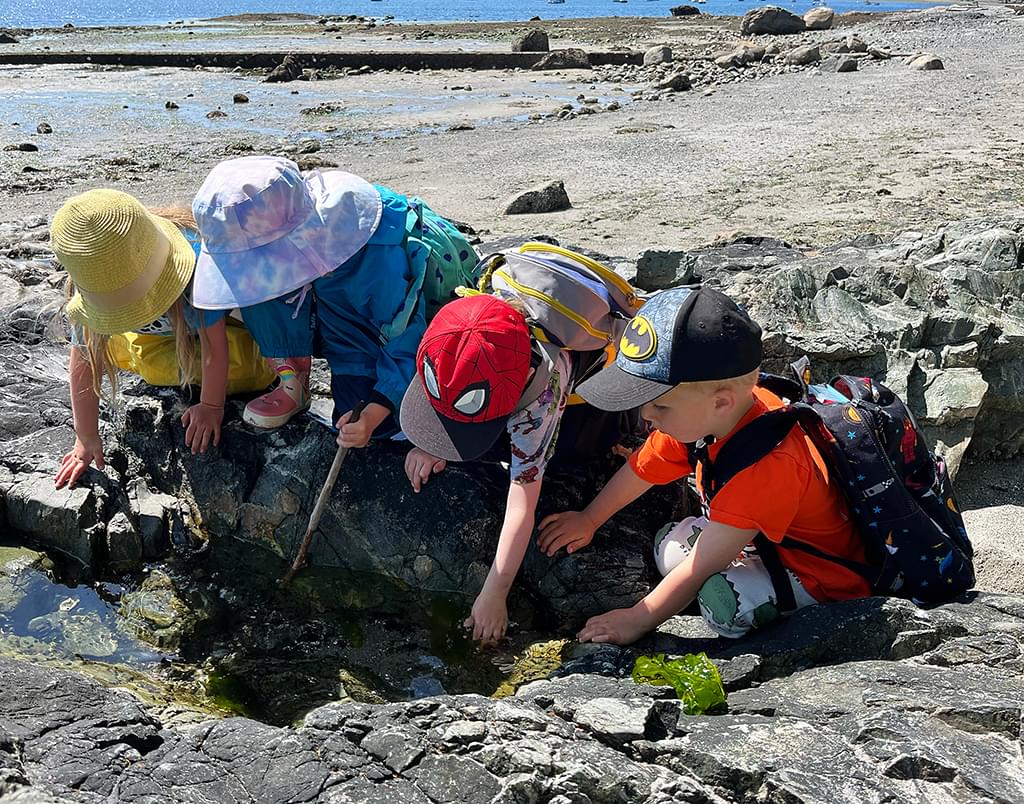 Junior kindergarten students exploring a tide pool